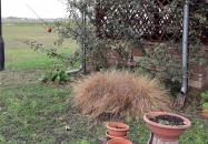 Röfi Csárda Cegléd