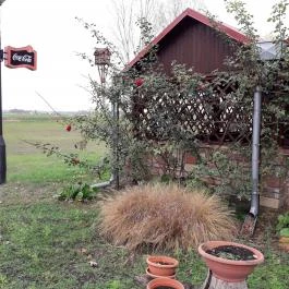 Röfi Csárda Cegléd - Külső kép