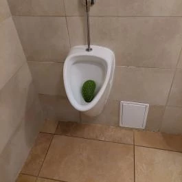 Rókusfalvy Fogadó étterme Etyek - Mosdó