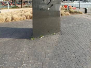 Roma Holokauszt Emlékmű Budapest