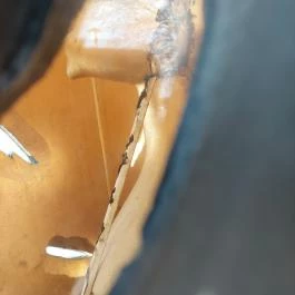 Roma Holokauszt Emlékmű, Budapest - Egyéb