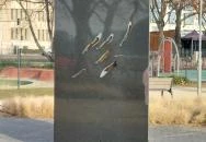 Roma Holokauszt Emlékmű Budapest