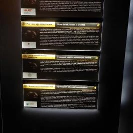 Esterházy-palota, Győr - Egyéb