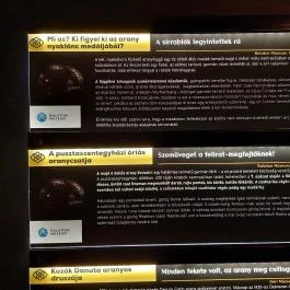 Esterházy-palota, Győr - Egyéb