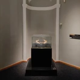 Esterházy-palota, Győr - Egyéb