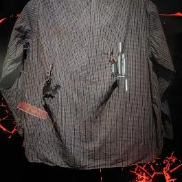 Esterházy-palota, Győr - Egyéb