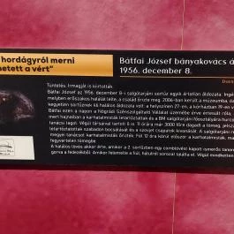 Esterházy-palota, Győr - Egyéb