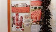Röszkei Paprika Park - Paprika Üzem és Múzeum Röszke - Belső