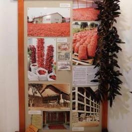 Röszkei Paprika Park - Paprika Üzem és Múzeum, Röszke - Belső