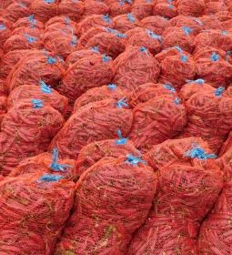 Röszkei Paprika Park - Paprika Üzem és Múzeum