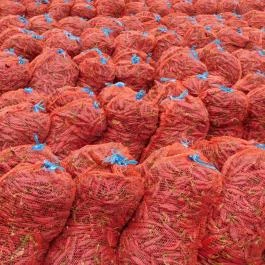 Röszkei Paprika Park - Paprika Üzem és Múzeum, Röszke - Egyéb