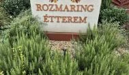 Rozmaring Étterem Varsány - Egyéb