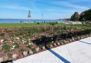 Rózsakert Siófok Siófok