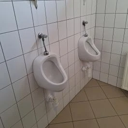 Rózsakert Vendéglő , Domaszék - Mosdó