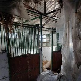 Rudnay-kastély Váchartyán - Belső