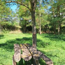 Sabar-hegyi templomrom, Káptalantóti - Egyéb