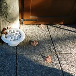 Salgótarjáni utcai zsidó temető, Budapest - Egyéb