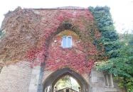 Salgótarjáni utcai zsidó temető Budapest