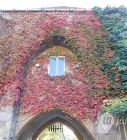 Salgótarjáni utcai zsidó temető