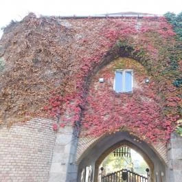 Salgótarjáni utcai zsidó temető, Budapest - Külső kép