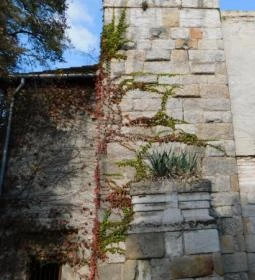 Salgótarjáni utcai zsidó temető