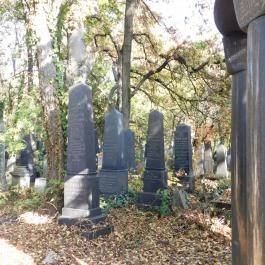 Salgótarjáni utcai zsidó temető, Budapest - Egyéb