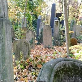 Salgótarjáni utcai zsidó temető, Budapest - Egyéb