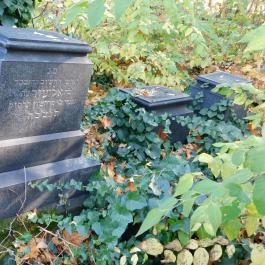 Salgótarjáni utcai zsidó temető, Budapest - Egyéb