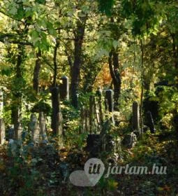 Salgótarjáni utcai zsidó temető