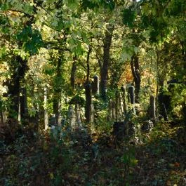 Salgótarjáni utcai zsidó temető, Budapest - Külső kép