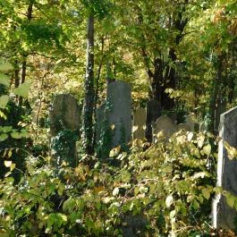 Salgótarjáni utcai zsidó temető, Budapest - Külső kép