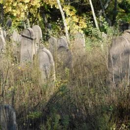 Salgótarjáni utcai zsidó temető, Budapest - Külső kép