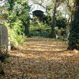 Salgótarjáni utcai zsidó temető, Budapest - Külső kép