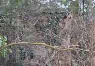 Az elfelejtett kastély Debrecen