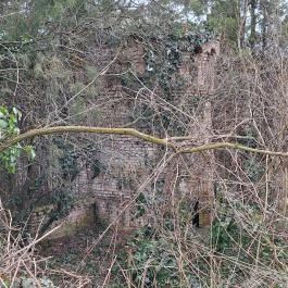 Az elfelejtett kastély, Debrecen - Egyéb