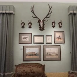 Sándor-Metternich-kastély, Bajna - Egyéb