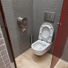 Sándor-Metternich-kastély, Bajna - Egyéb