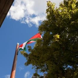 Sándor-palota, Budapest - Egyéb