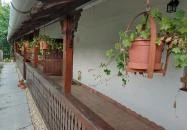 Sárarany Szalmaporta Szarvas