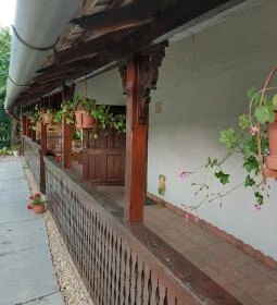 Sárarany Szalmaporta