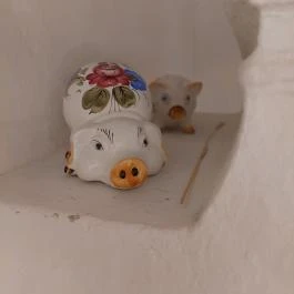 Sárarany Szalmaporta, Szarvas - Egyéb