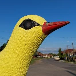 Sárgarigó-szobor Buják - Egyéb