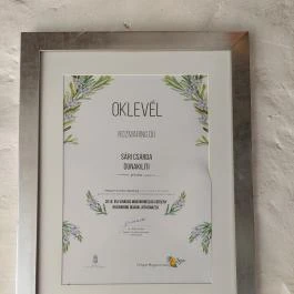 Sári Csárda, Dunakiliti - Egyéb