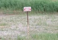 Sárkány szobor Nyírbátor