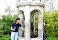 Sárkányos ivókút Tata