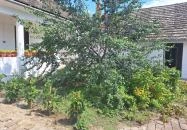 Sárközi Tájház Decs