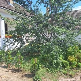 Sárközi Tájház Decs - Külső kép