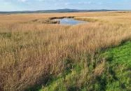 Sarvajc-kereszt és kilátó Gárdony