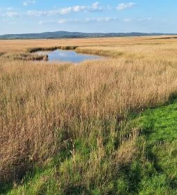 Sarvajc-kereszt és kilátó