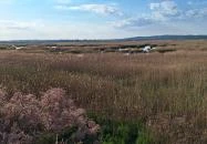 Sarvajc-kereszt és kilátó Gárdony